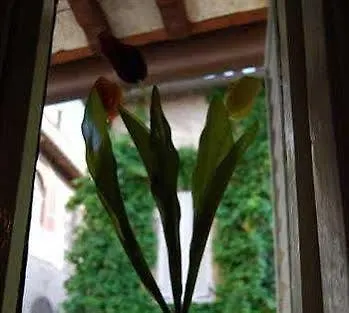 B&B Le Naiadi Perugia